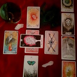 tarot readings