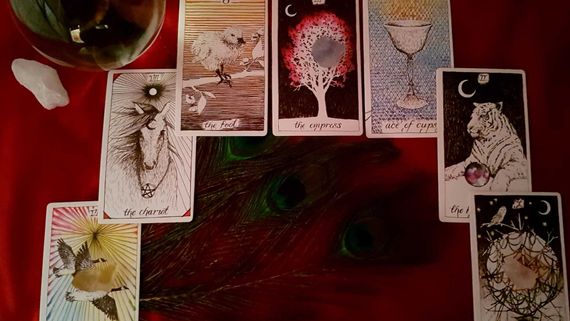 tarot readings